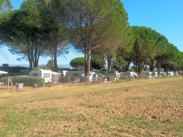 View over the pitches