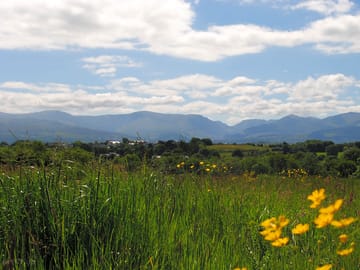 Camping field