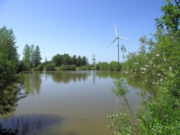 View over the lake