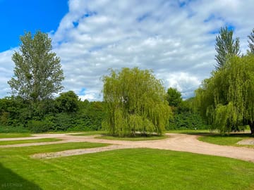 Meadow brook