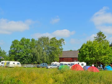 Grass pitches