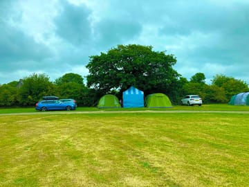 Electric grass tent or trailer tent pitch