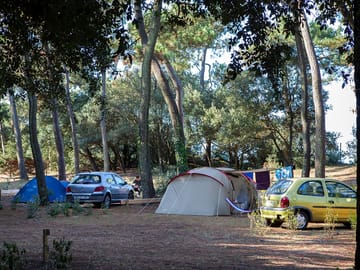 Pitches under the trees