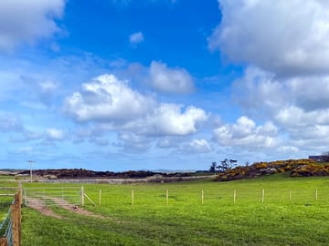 Grassy pitches