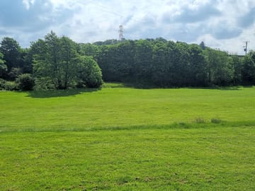 Grass pitch