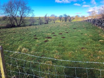 The camping field