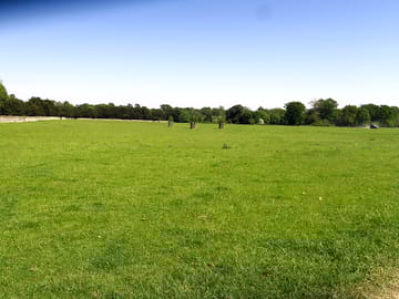 Large level field