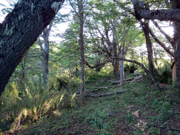Campsite