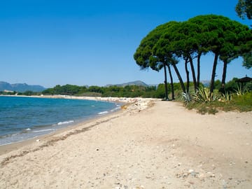 Our beach