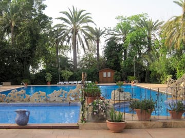 Pool surrounded by palm trees