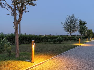 Night lights