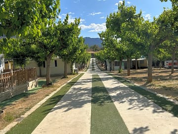 The main road through the site