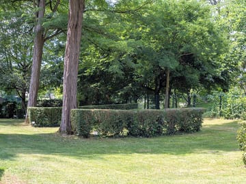 Grass pitch