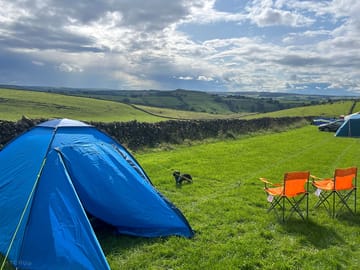 Our pitch