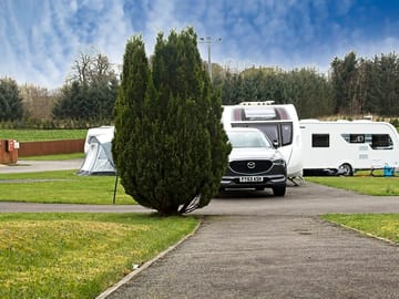 Privacy with trees planted around the site