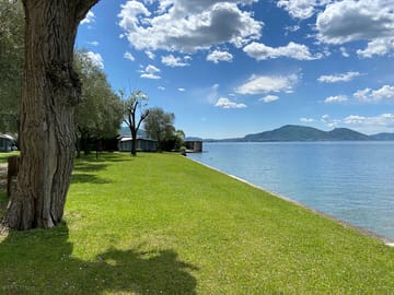 Grass beach