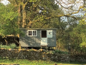 Hut under the trees