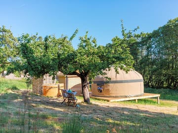 Surrounding area of orchard yurt