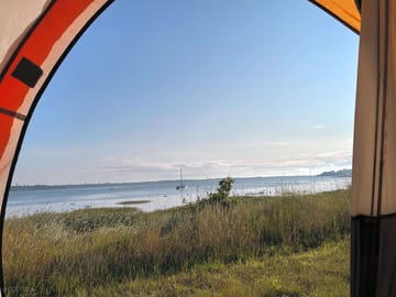 Room with a view