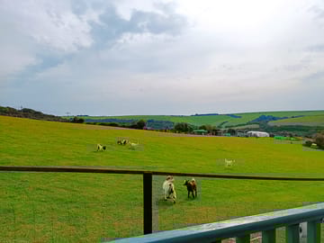 Stunning view of the south downs from the cabin's decking