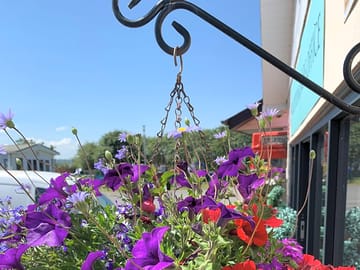 Llanina caravan park