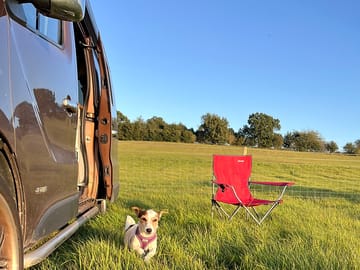 Dog-friendly camping