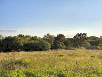 Woodlands and glades to explore