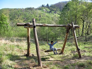 Swing in campsite
