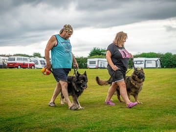 Dogs welcome