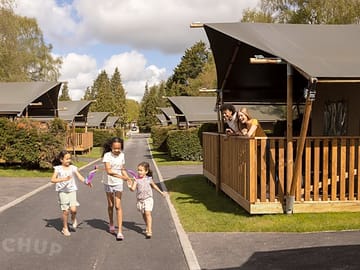 Safari tents