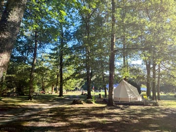 Shaded bell tent