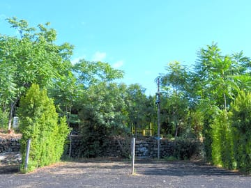 Two of the pitches