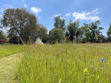 Camping surrounded by meadow