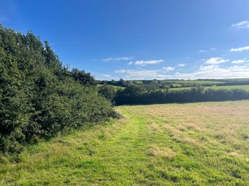Path around the field