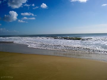 Lyme bay, charmouth