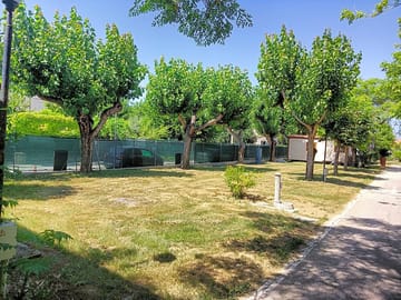 Pitches with trees for shade
