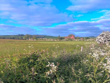 View of the pitches