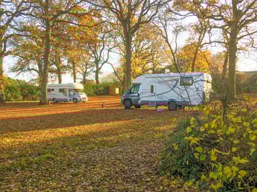 Visitor image of autumn on site