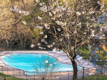 The pool