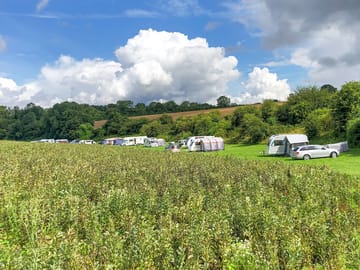 Pitches on site