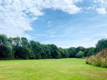 Spacious fields