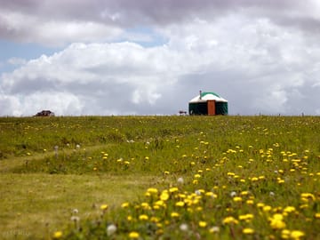 Yurt