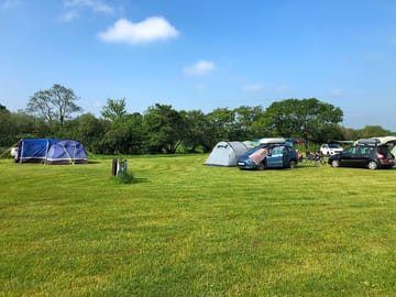 Pitches in lakeside tent field