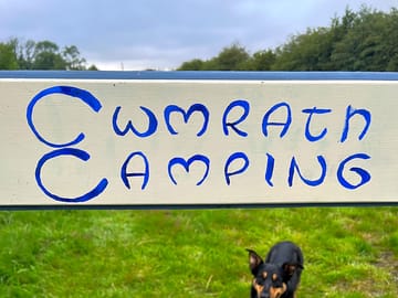 Dogs are welcome