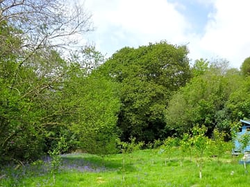Campsite