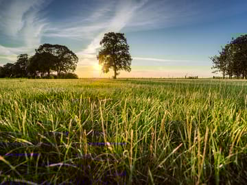 Dog-friendly camping in oxfordshire