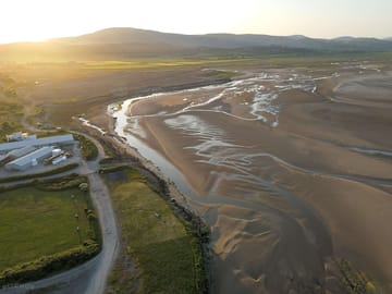 Black combe