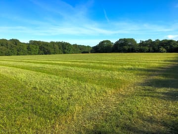 Lots of open space