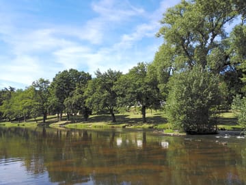 The campsite's environment