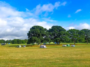 Visitor image of the spacious field
